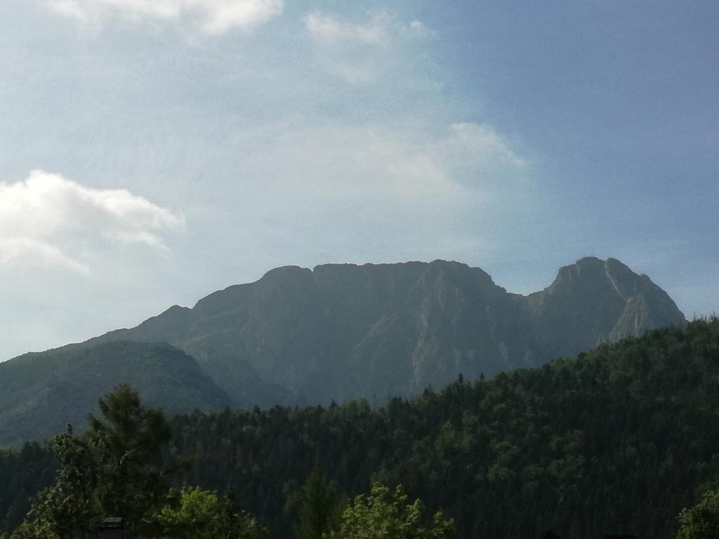 U Obrochty Apartment Zakopane Exterior photo